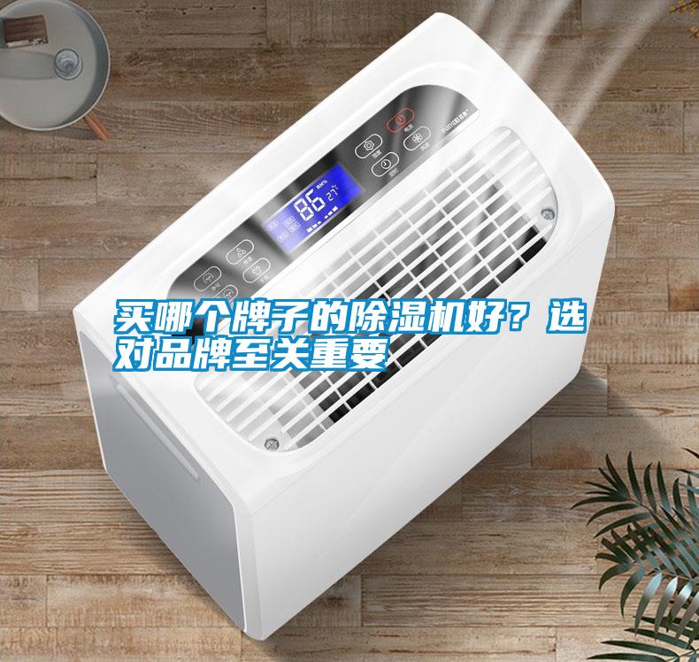 買哪個牌子的除濕機好？選對品牌至關重要