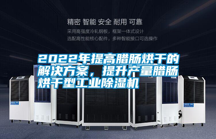 2022年提高臘腸烘干的解決方案，提升產量臘腸烘干型工業除濕機