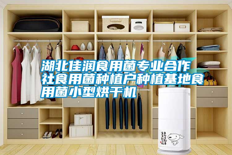湖北佳潤食用菌專業(yè)合作社食用菌種植戶種植基地食用菌小型烘干機