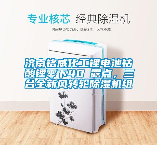 濟南銘威化工鋰電池鈷酸鋰零下40℃露點，三臺全新風轉輪除濕機組