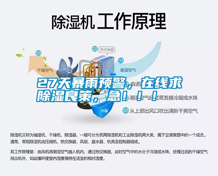 27天暴雨預警，在線求除濕良策，急?。。?/></p>
						    <p style=