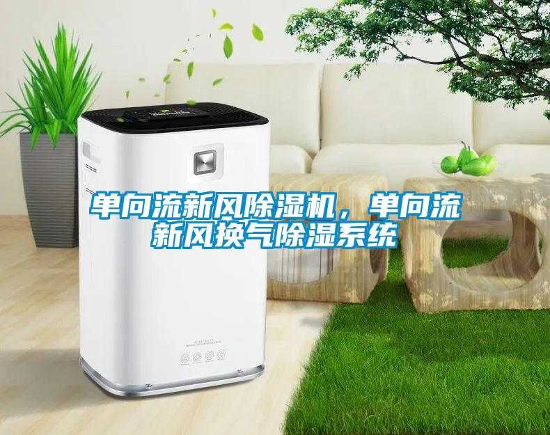 單向流新風(fēng)除濕機(jī),單向流新風(fēng)換氣除濕系統(tǒng)