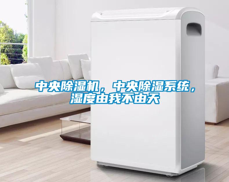 中央除濕機，中央除濕系統，濕度由我不由天