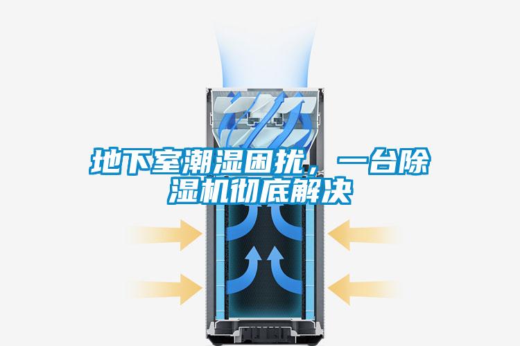 地下室潮濕困擾,一臺除濕機徹底解決