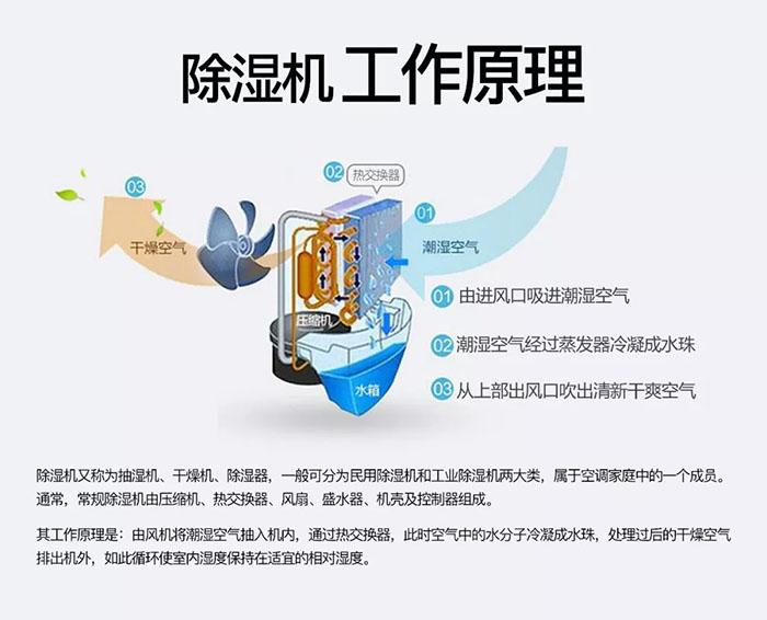 為室內(nèi)綠化園添置除濕機(jī)需要考慮哪些因素？