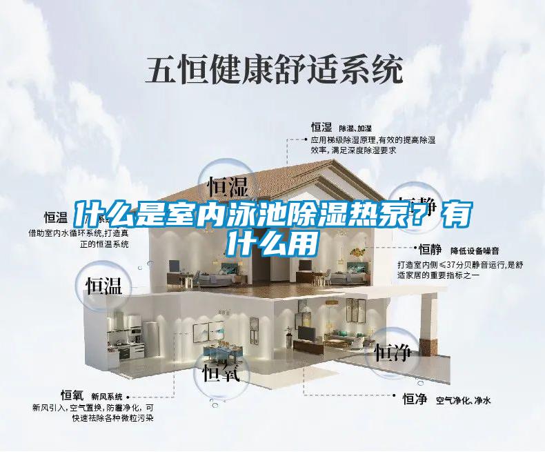 什么是室內泳池除濕熱泵?有什么用