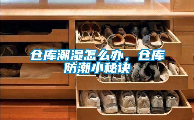 倉庫潮濕怎么辦，倉庫防潮小秘訣