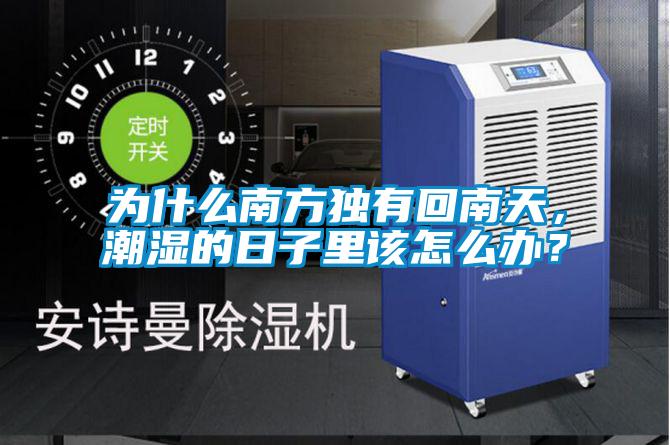 為什么南方獨有回南天，潮濕的日子里該怎么辦？
