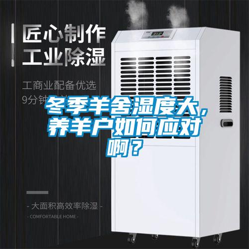 冬季羊舍濕度大，養羊戶如何應對?。?/></p>
						    <p style=