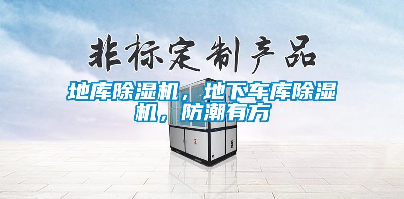 地庫除濕機，地下車庫除濕機，防潮有方
