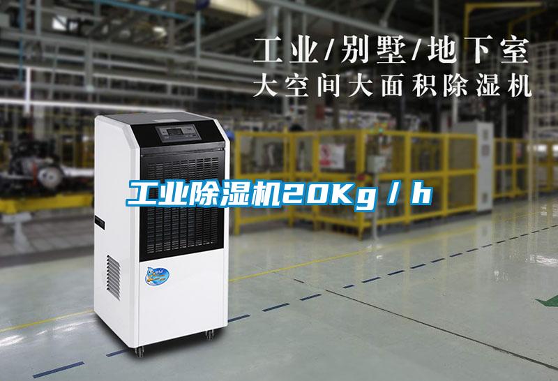 工業除濕機20Kg/h