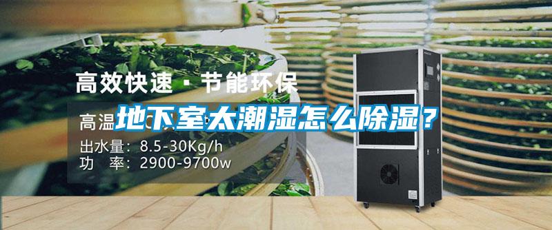 地下室太潮濕怎么除濕？