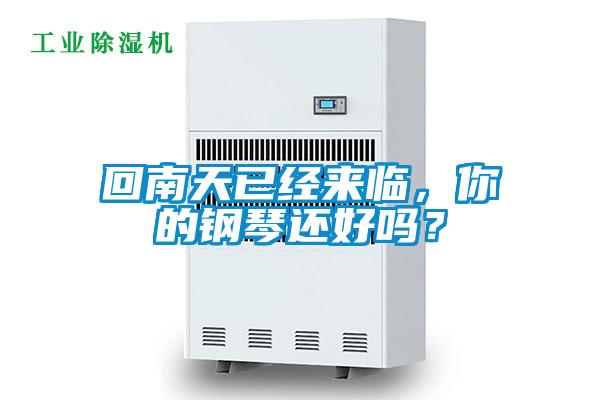 回南天已經來臨,你的鋼琴還好嗎?