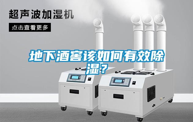 地下酒窖該如何有效除濕？