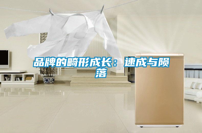 品牌的畸形成長:速成與隕落