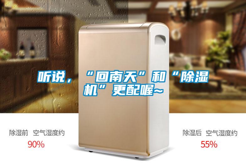 聽說，“回南天”和“除濕機”更配喔~