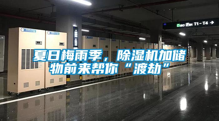 夏日梅雨季，除濕機加儲物前來幫你“渡劫”
