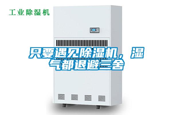 只要遇見(jiàn)除濕機(jī)，濕氣都退避三舍