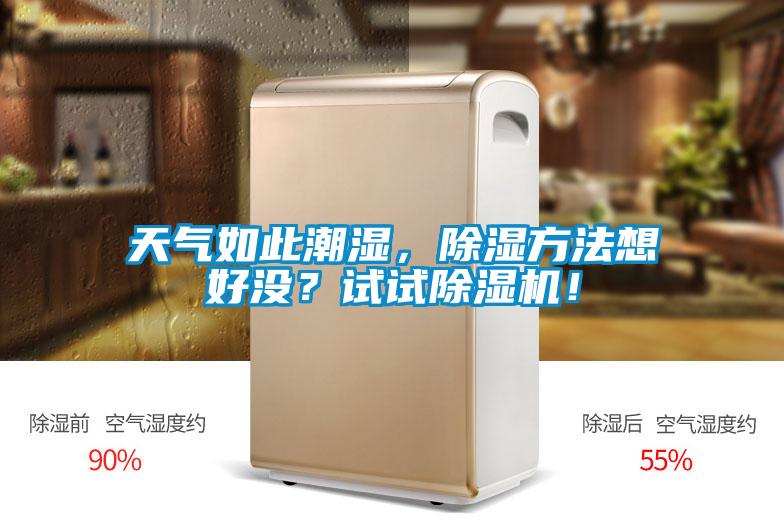 天氣如此潮濕，除濕方法想好沒？試試除濕機！