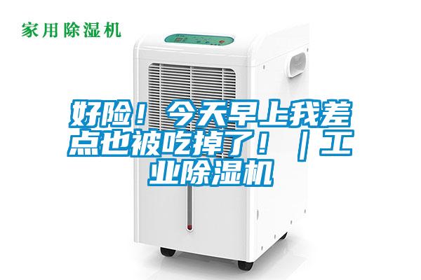 好險！今天早上我差點(diǎn)也被吃掉了！｜工業(yè)除濕機(jī)