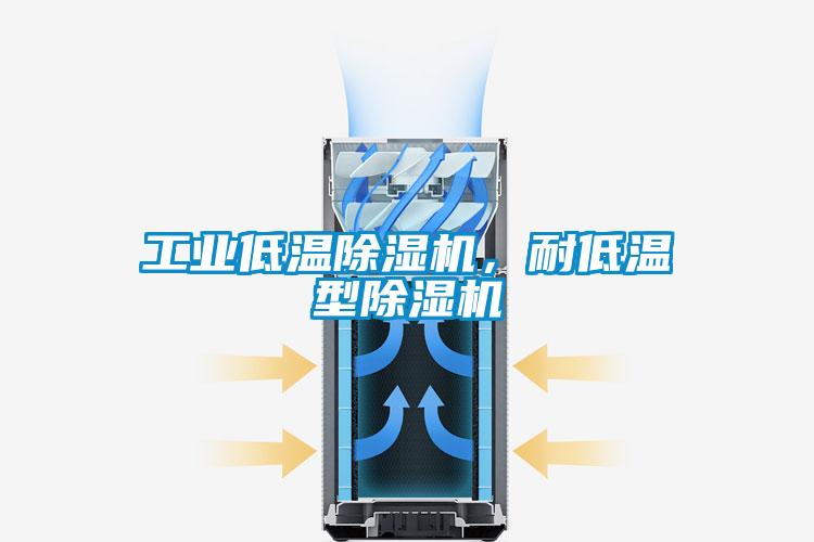 工業(yè)低溫除濕機(jī),耐低溫型除濕機(jī)