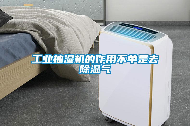 工業抽濕機的作用不單是去除濕氣