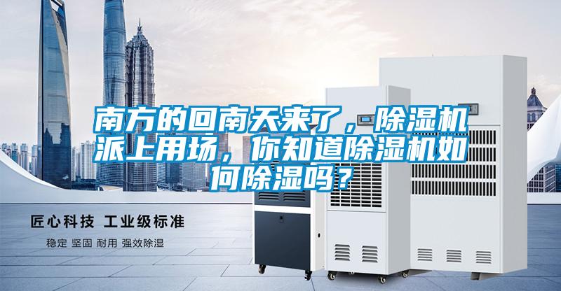 南方的回南天來了，除濕機派上用場，你知道除濕機如何除濕嗎？