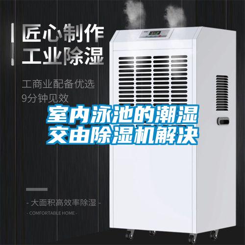 室內泳池的潮濕交由除濕機解決