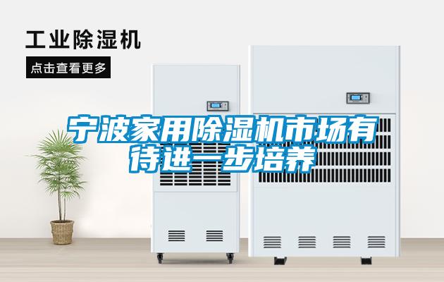寧波家用除濕機市場有待進一步培養