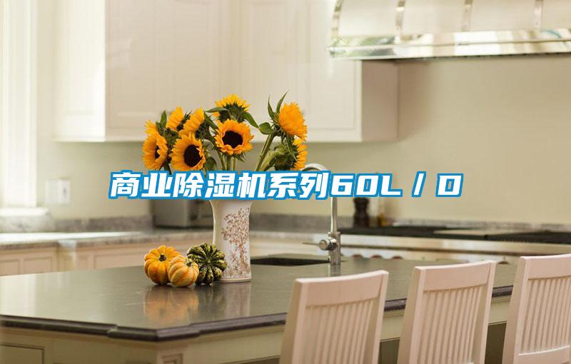 商業除濕機系列60L/D