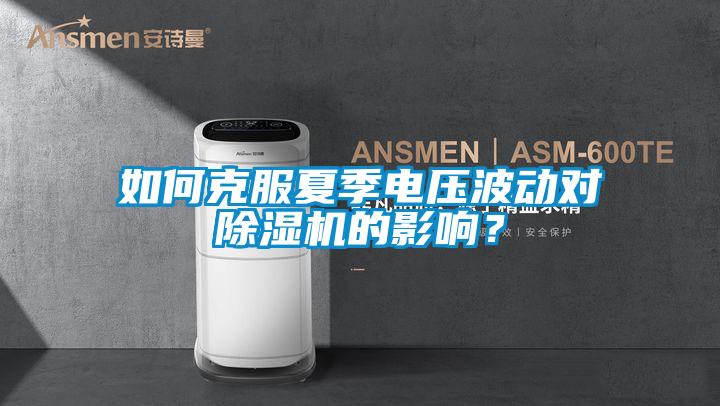 如何克服夏季電壓波動(dòng)對(duì)除濕機(jī)的影響?