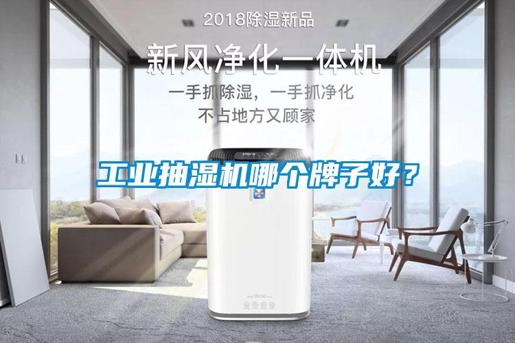 工業抽濕機哪個牌子好？
