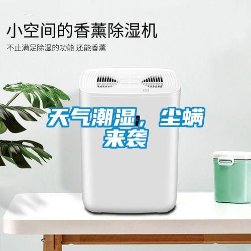 天氣潮濕,塵螨來襲