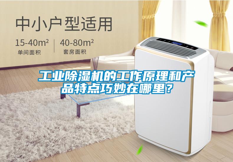 工業除濕機的工作原理和產品特點巧妙在哪里？