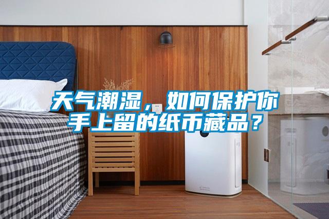 天氣潮濕，如何保護(hù)你手上留的紙幣藏品？