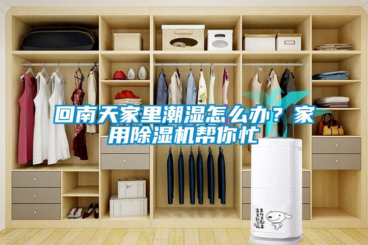 回南天家里潮濕怎么辦？家用除濕機(jī)幫你忙