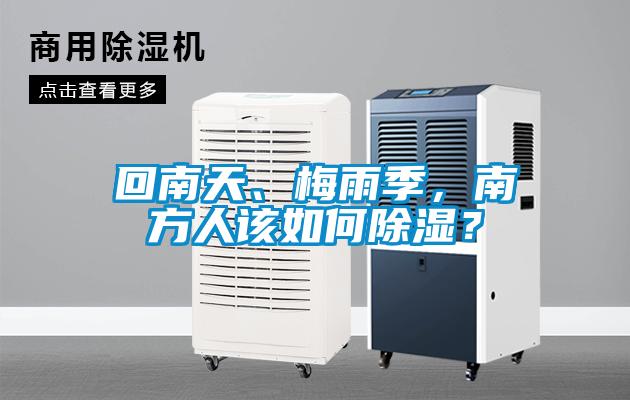 回南天、梅雨季,南方人該如何除濕?
