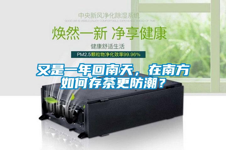 又是一年回南天,在南方如何存茶更防潮?
