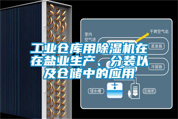 工業(yè)倉庫用除濕機在在鹽業(yè)生產(chǎn)、分裝以及倉儲中的應(yīng)用