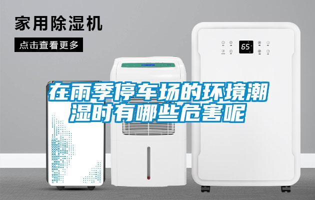 在雨季停車場(chǎng)的環(huán)境潮濕時(shí)有哪些危害呢