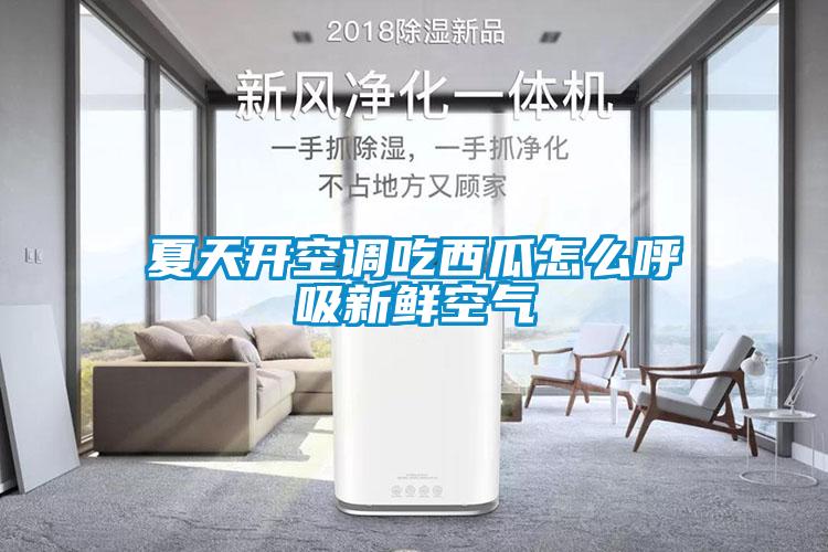 夏天開空調吃西瓜怎么呼吸新鮮空氣