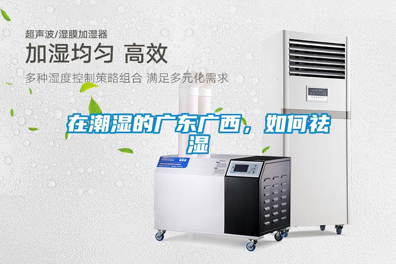 在潮濕的廣東廣西,如何祛濕