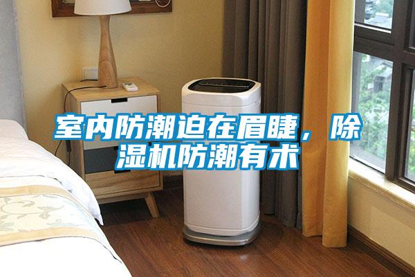 室內(nèi)防潮迫在眉睫，除濕機(jī)防潮有術(shù)