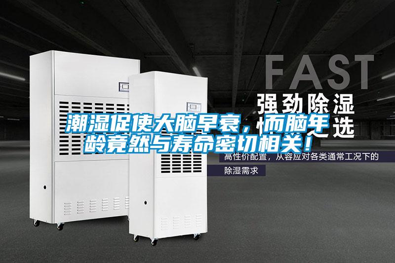 潮濕促使大腦早衰，而腦年齡竟然與壽命密切相關！