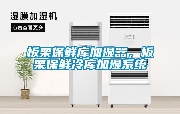 板栗保鮮庫加濕器，板栗保鮮冷庫加濕系統(tǒng)