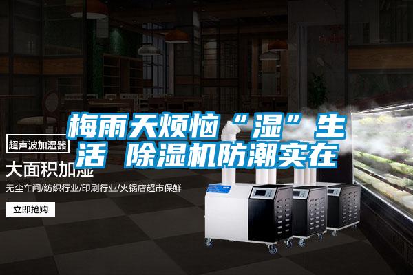 梅雨天煩惱“濕”生活 除濕機防潮實在