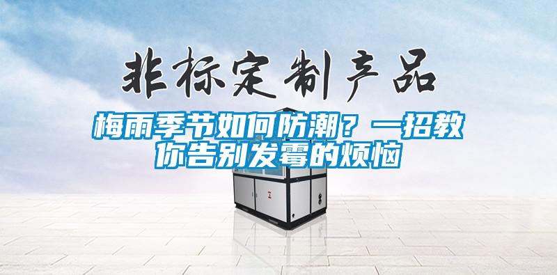 梅雨季節如何防潮？一招教你告別發霉的煩惱