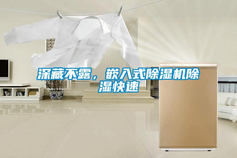 深藏不露,嵌入式除濕機除濕快速