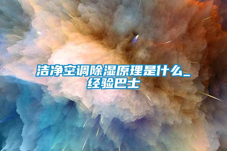 潔凈空調除濕原理是什么_經驗巴士