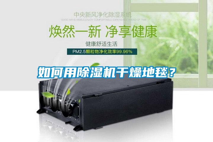 如何用除濕機干燥地毯?